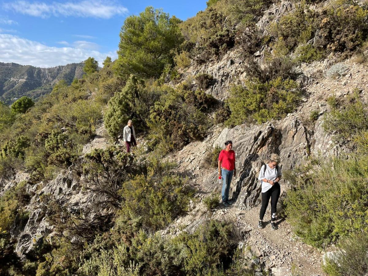 Malaga Hills Double Comfort Boutique & Wellness Eco-Hotel -Adults Only- Cómpeta Εξωτερικό φωτογραφία